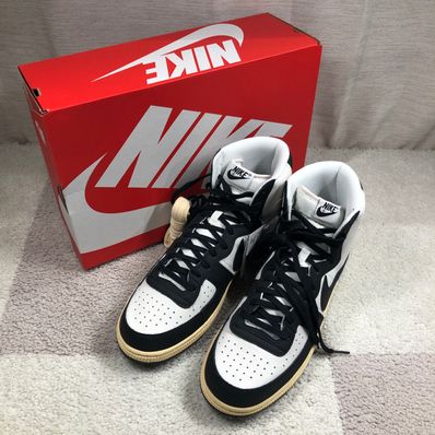 Nike Terminator High "Black and Phantom"