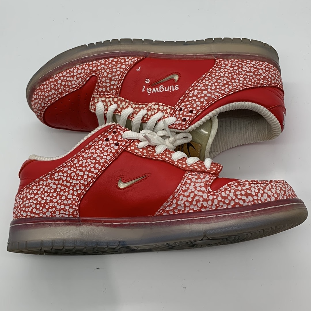 Stingwater × Nike SB Dunk Low "Magic Mushroom"