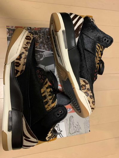 Nike Air Jordan 3 Retro SE "Animal Instinct/Safari"