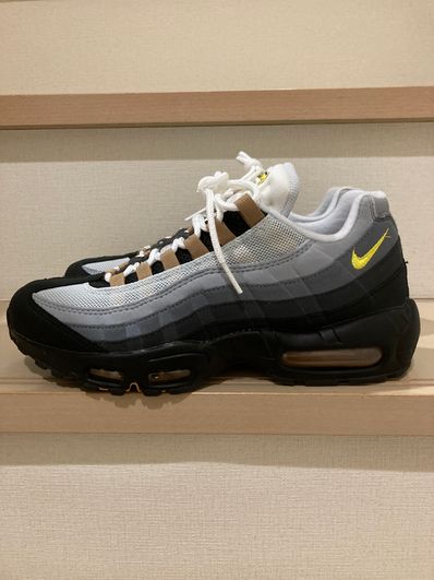 Nike Air Max 95 "Icons"