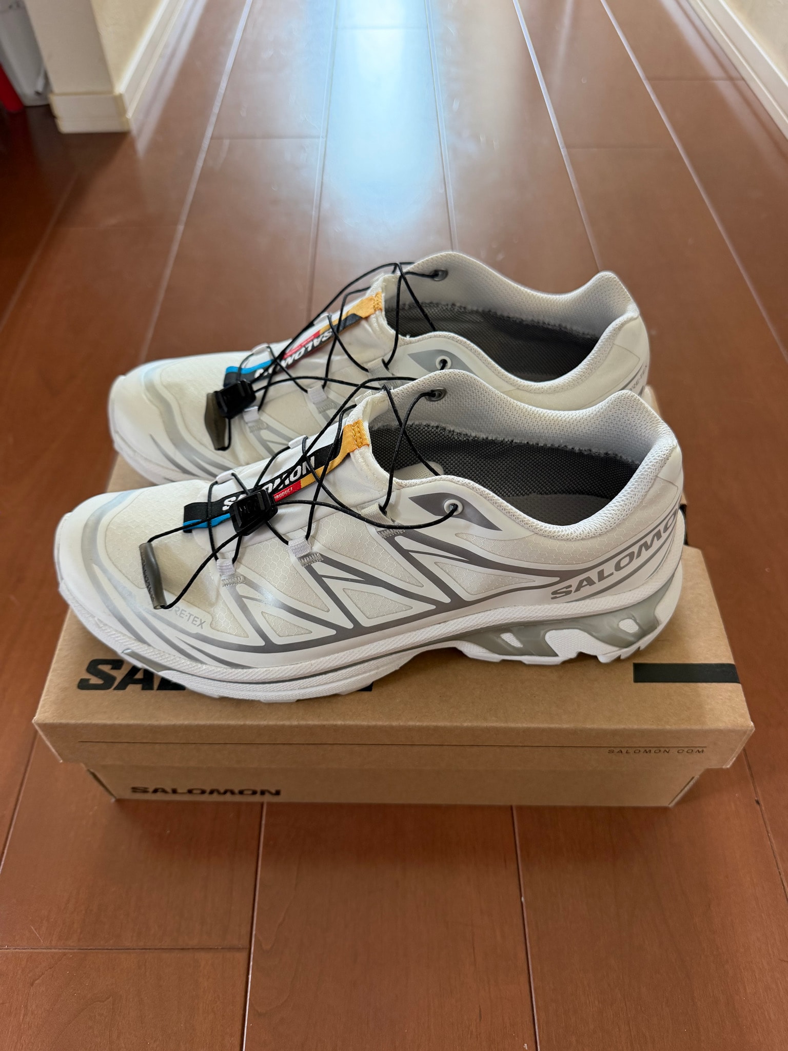 サロモン XT-6 ゴアテックス 