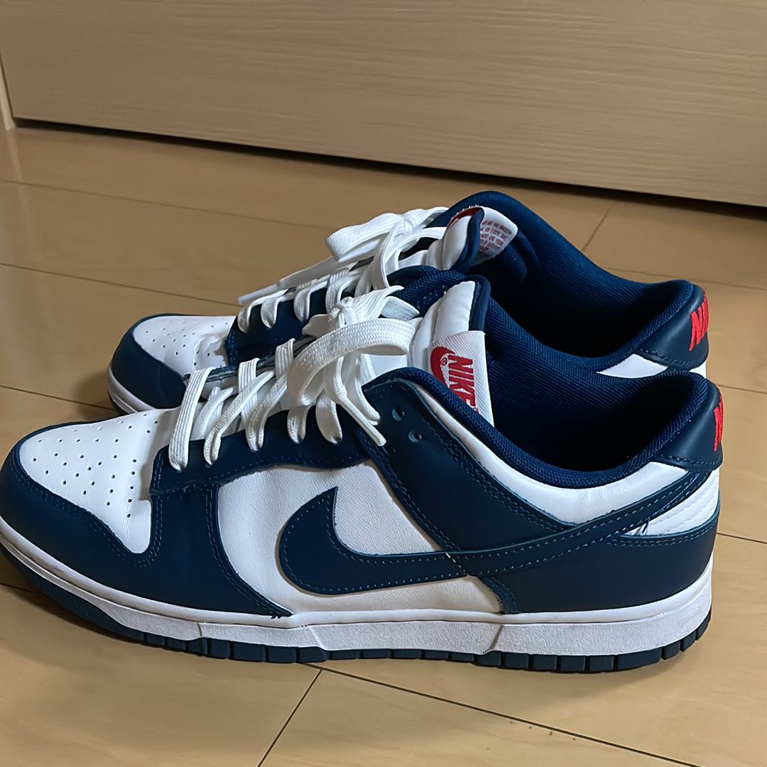 Nike Dunk Low "Valerian Blue"