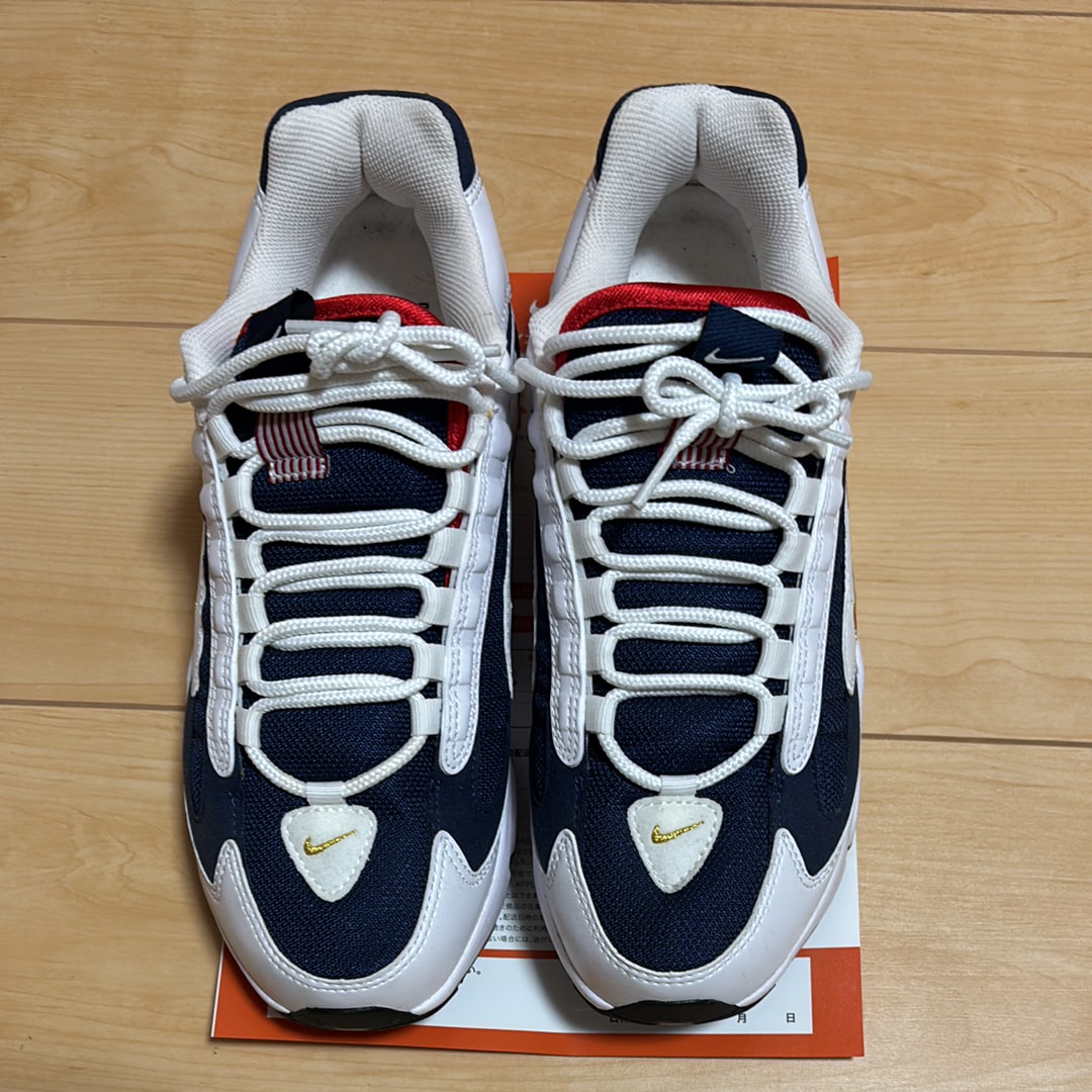 Nike Air Max Triax 96 "USA"