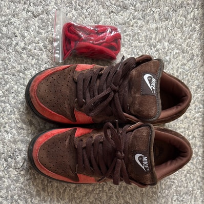 Nike SB Dunk Low "Bison"