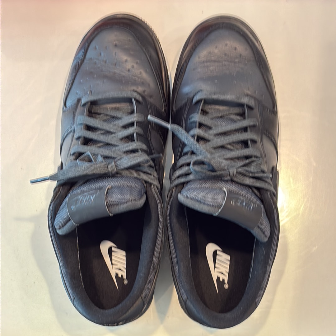 Nike Dunk Low GORE-TEX "Triple Black"