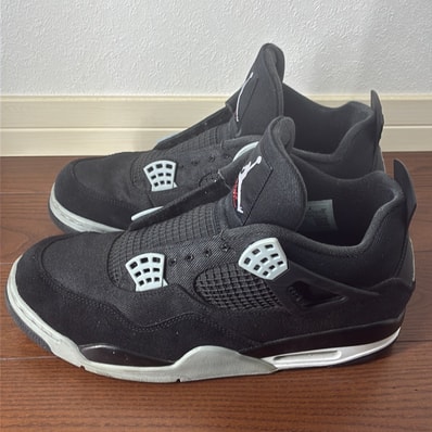 Nike Air Jordan 4 SE "Black and Light Steel"