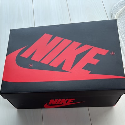 Nike Air Jordan 1 High OG "First Class Flight"