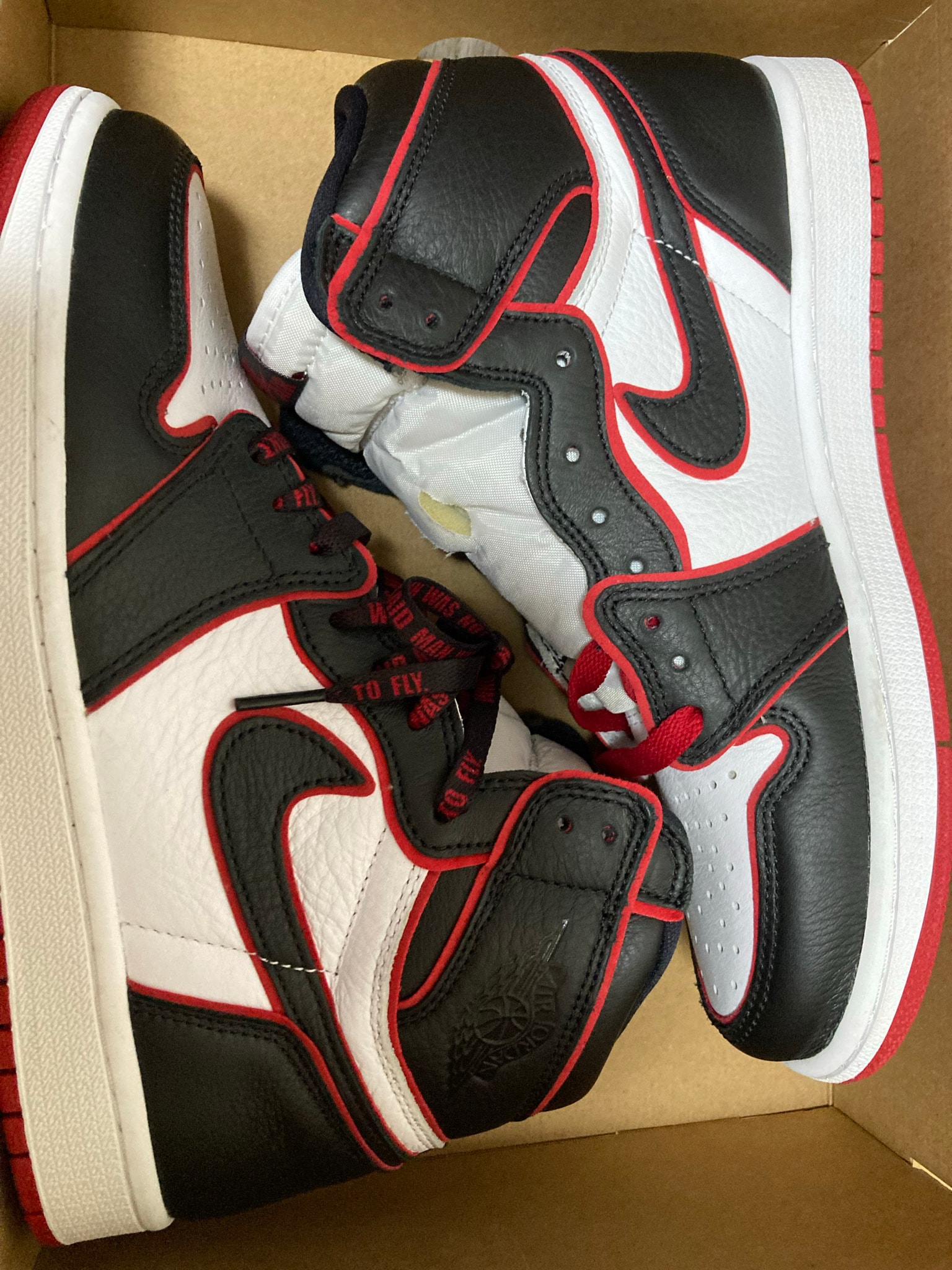 Nike Air Jordan 1 Retro High OG "Blood Line"