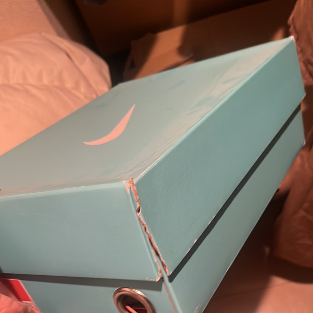 Tiffany & Co. × Nike Air Force 1 Low "1837"