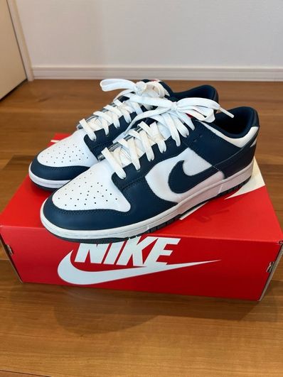 Nike Dunk Low "Valerian Blue"