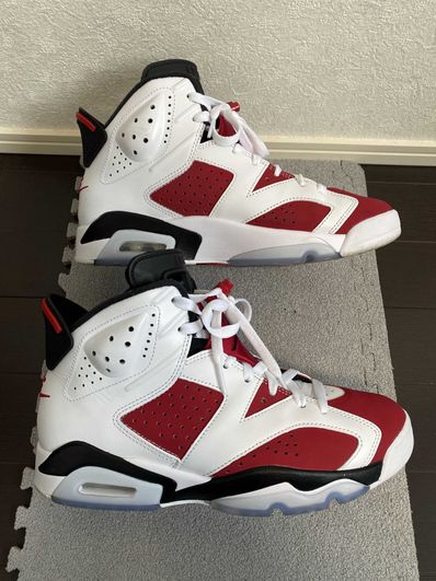 Nike Air Jordan 6 "Carmine" (2021)