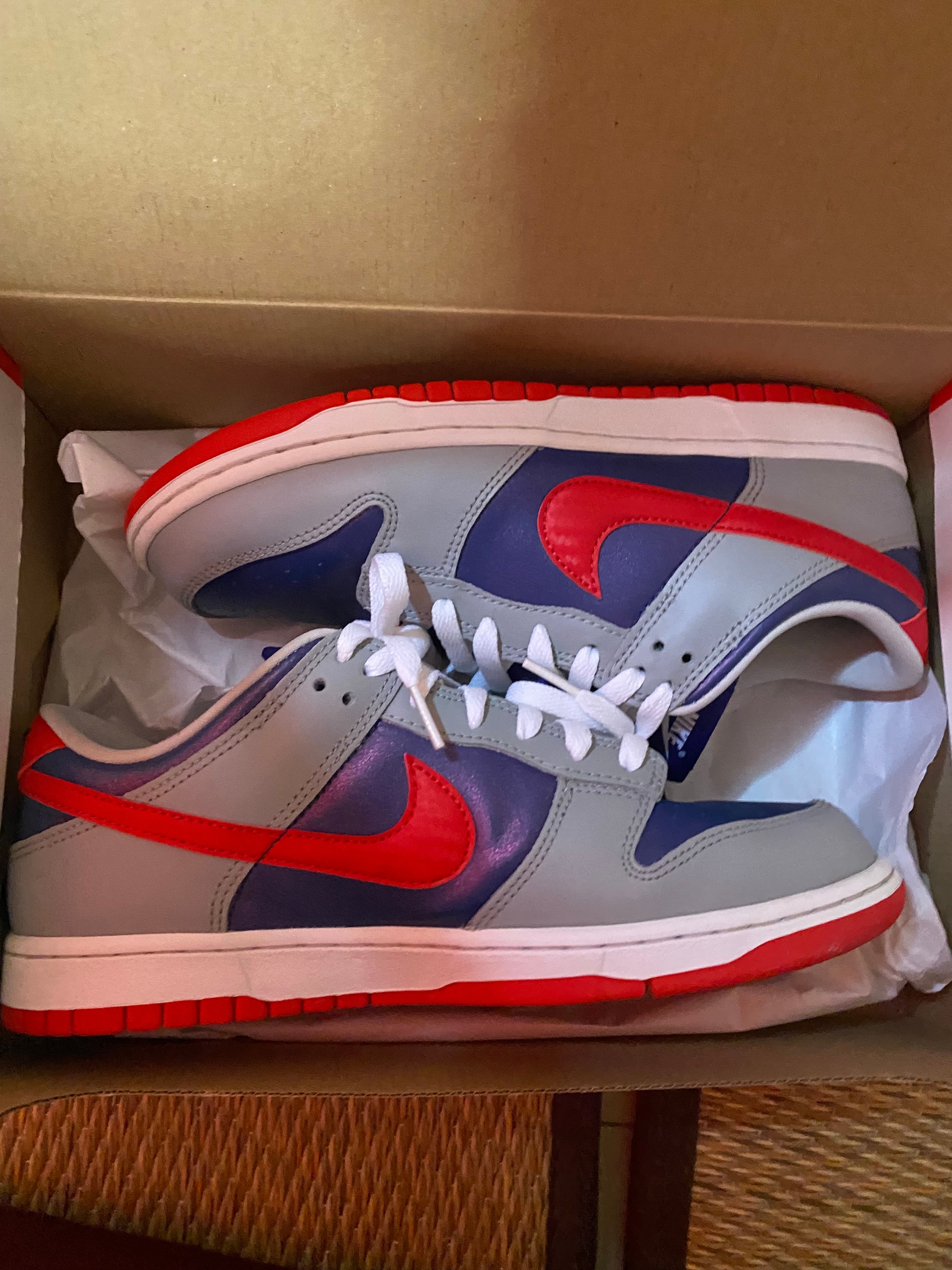 Nike Dunk Low "Samba"