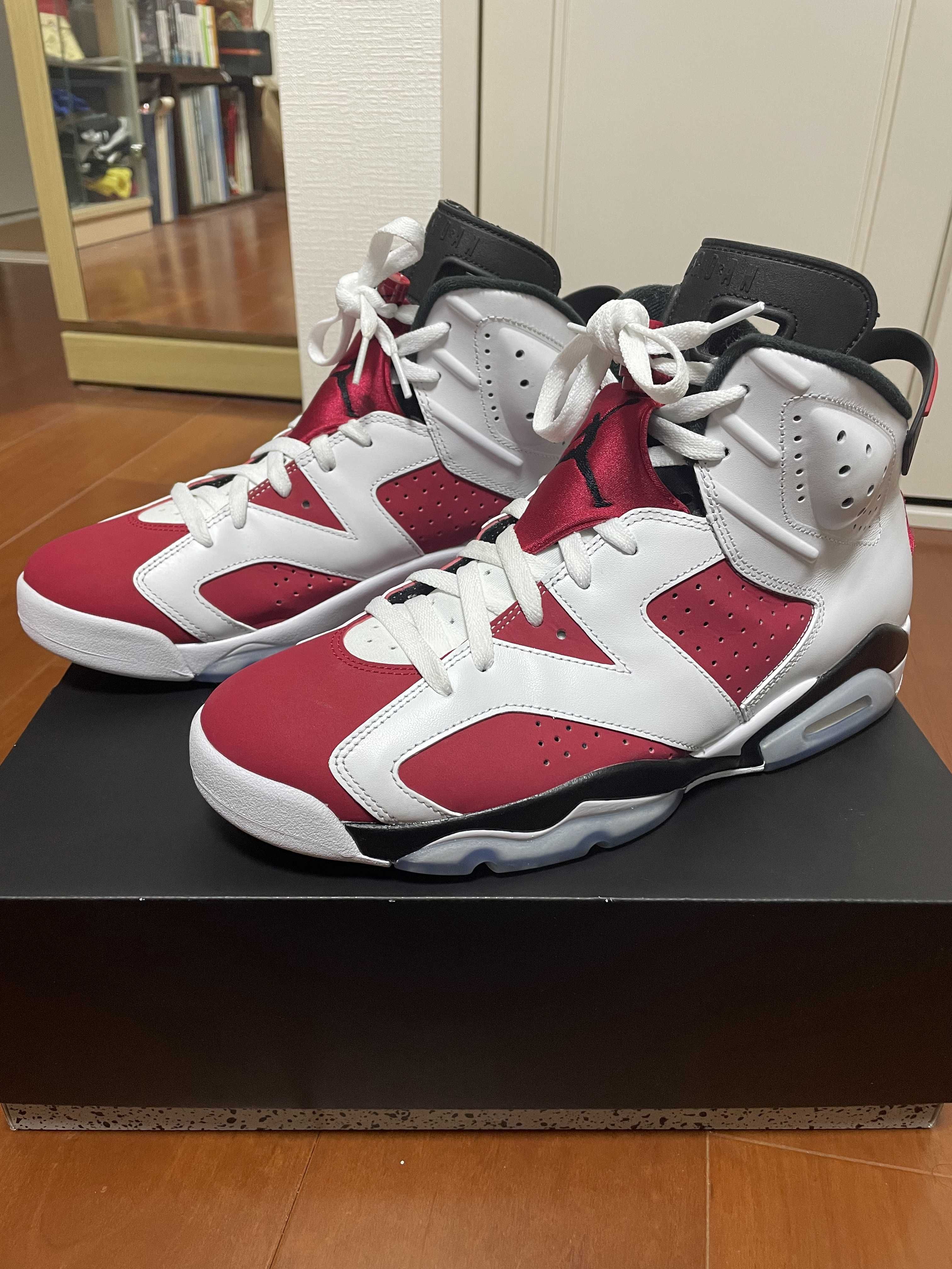 Nike Air Jordan 6 "Carmine" (2021)
