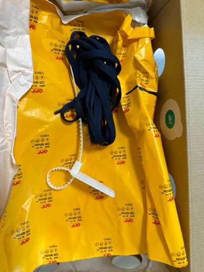 Off-White × Nike Dunk Low "White/Pine Green"