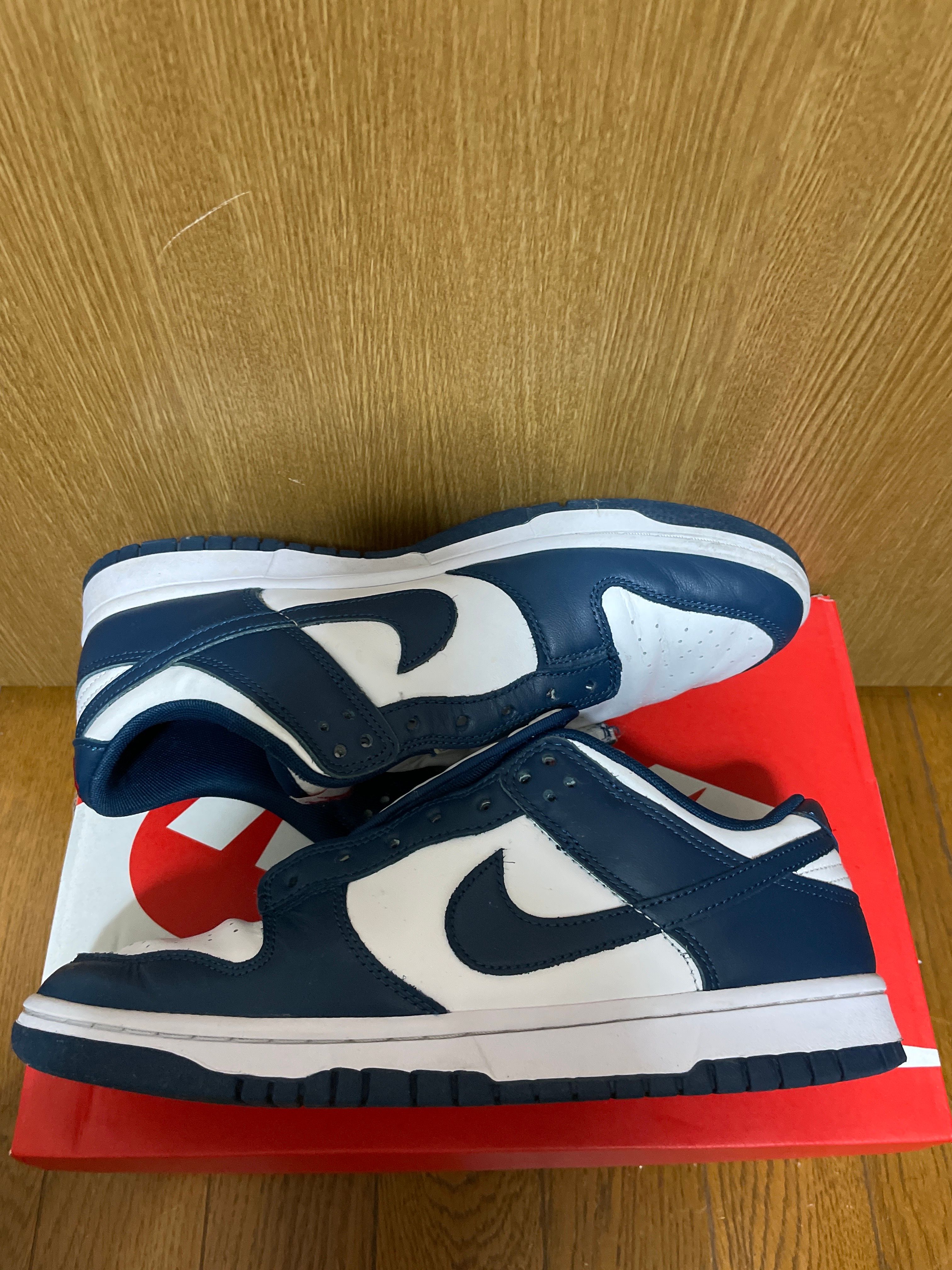 Nike Dunk Low "Valerian Blue"