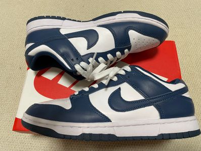 Nike Dunk Low "Valerian Blue"