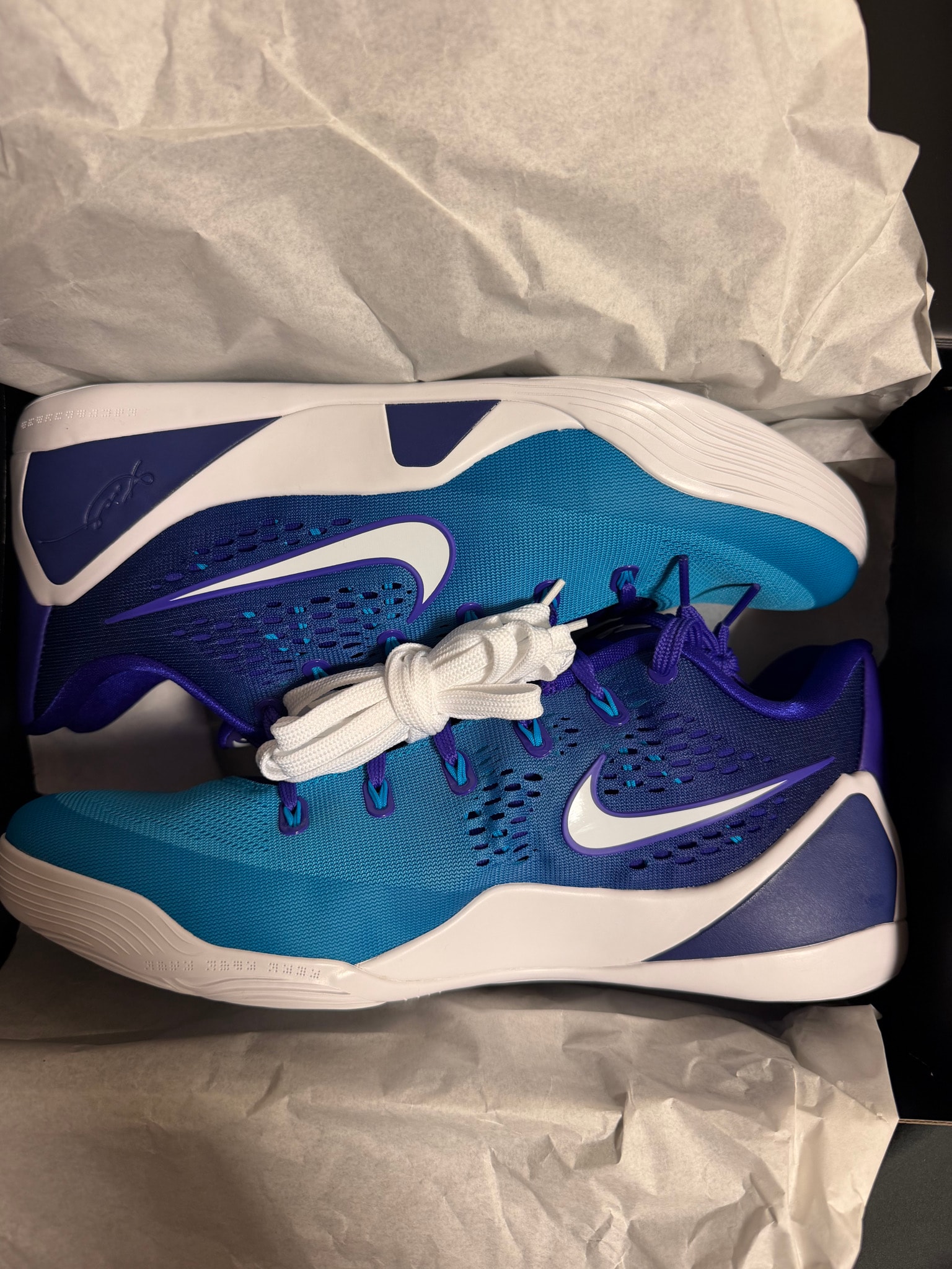 Nike Kobe 9 Elite Low Protro "Hornets"