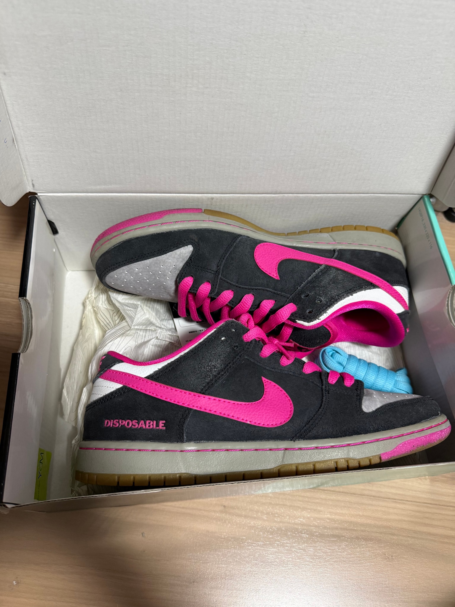 Nike Dunk SB Low "Disposable"