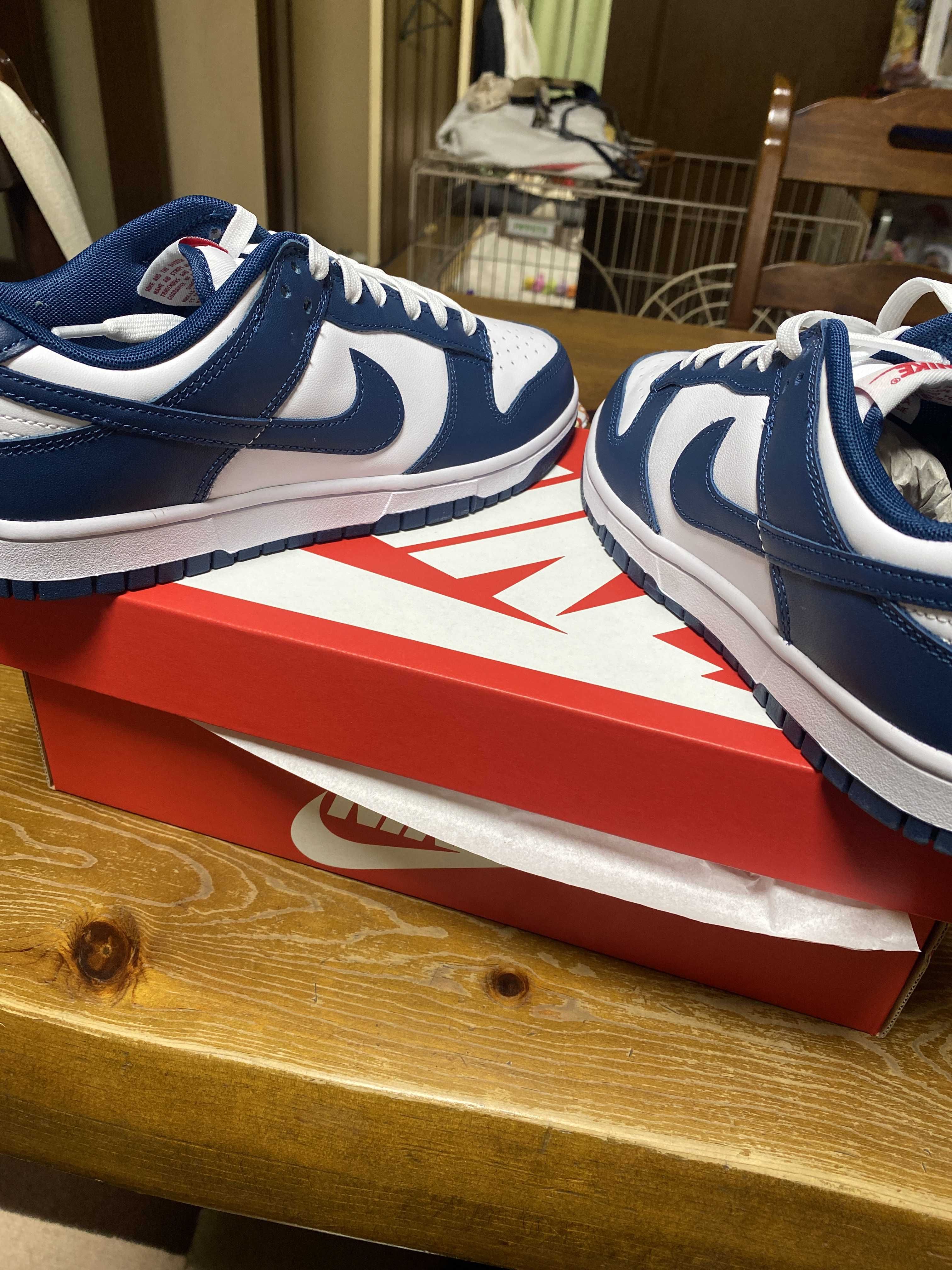 Nike Dunk Low "Valerian Blue"