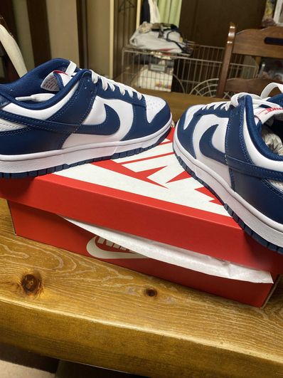 Nike Dunk Low "Valerian Blue"