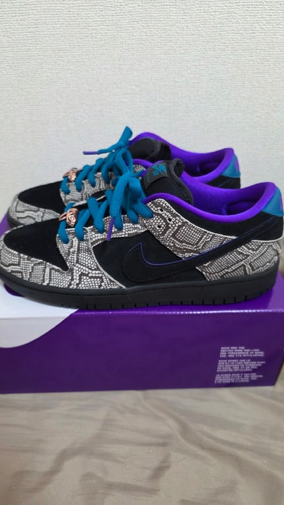 Dashawn Jordan × Nike SB Dunk Low "Copperhead"