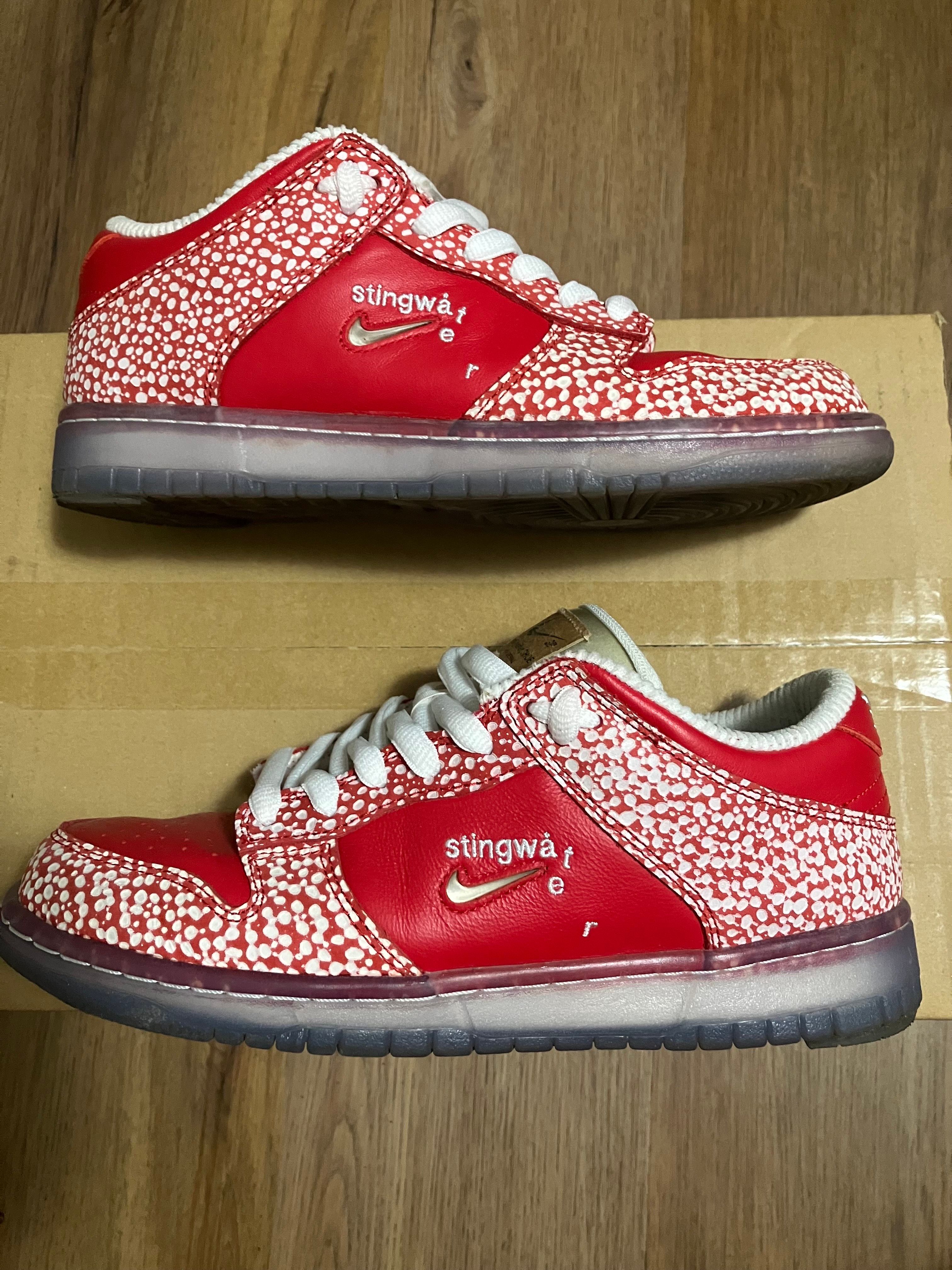 Stingwater × Nike SB Dunk Low "Magic Mushroom"