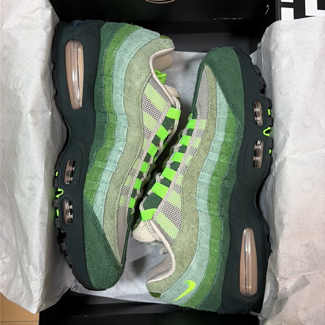 Division Street × Nike Air Max 95 Big Bubble Ducks of a Feather "The Woods"