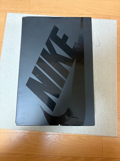 AMBUSH × Nike Air Adjust Force "Summit White and Black"