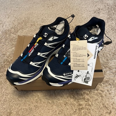 Salomon XT-6 GORE-TEX "Carbon/Vanilla Ice/Liberty"