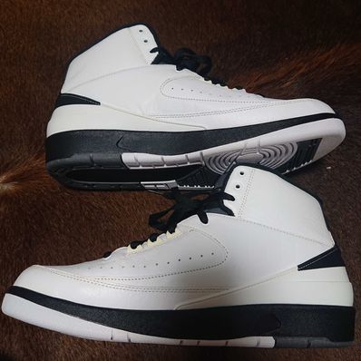 Nike Air Jordan 2 Retro "Wing It"