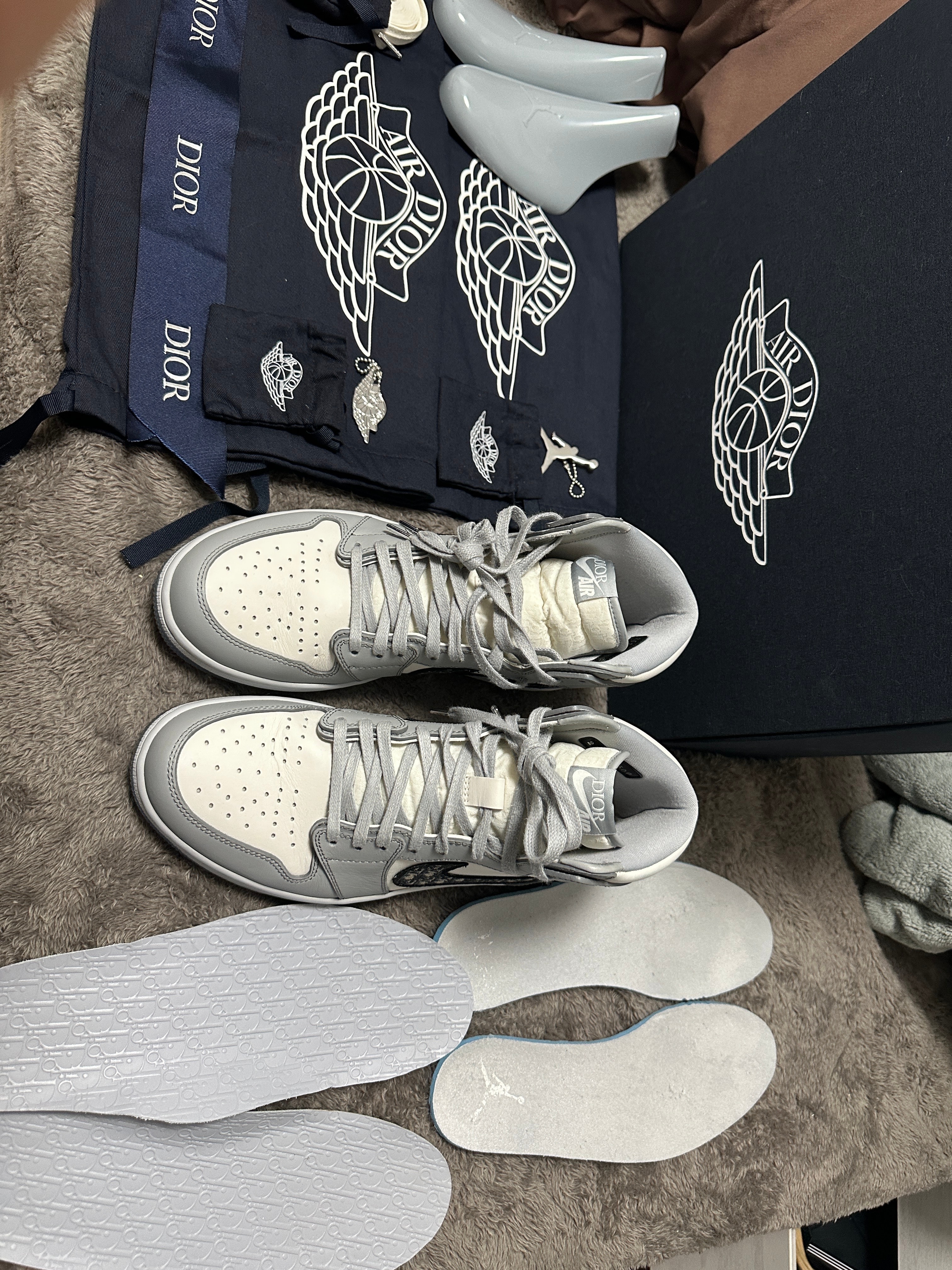 Dior × Nike Air Jordan 1 High OG "DIOR"