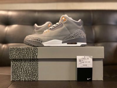 Nike Air Jordan 3 "Cool Grey"