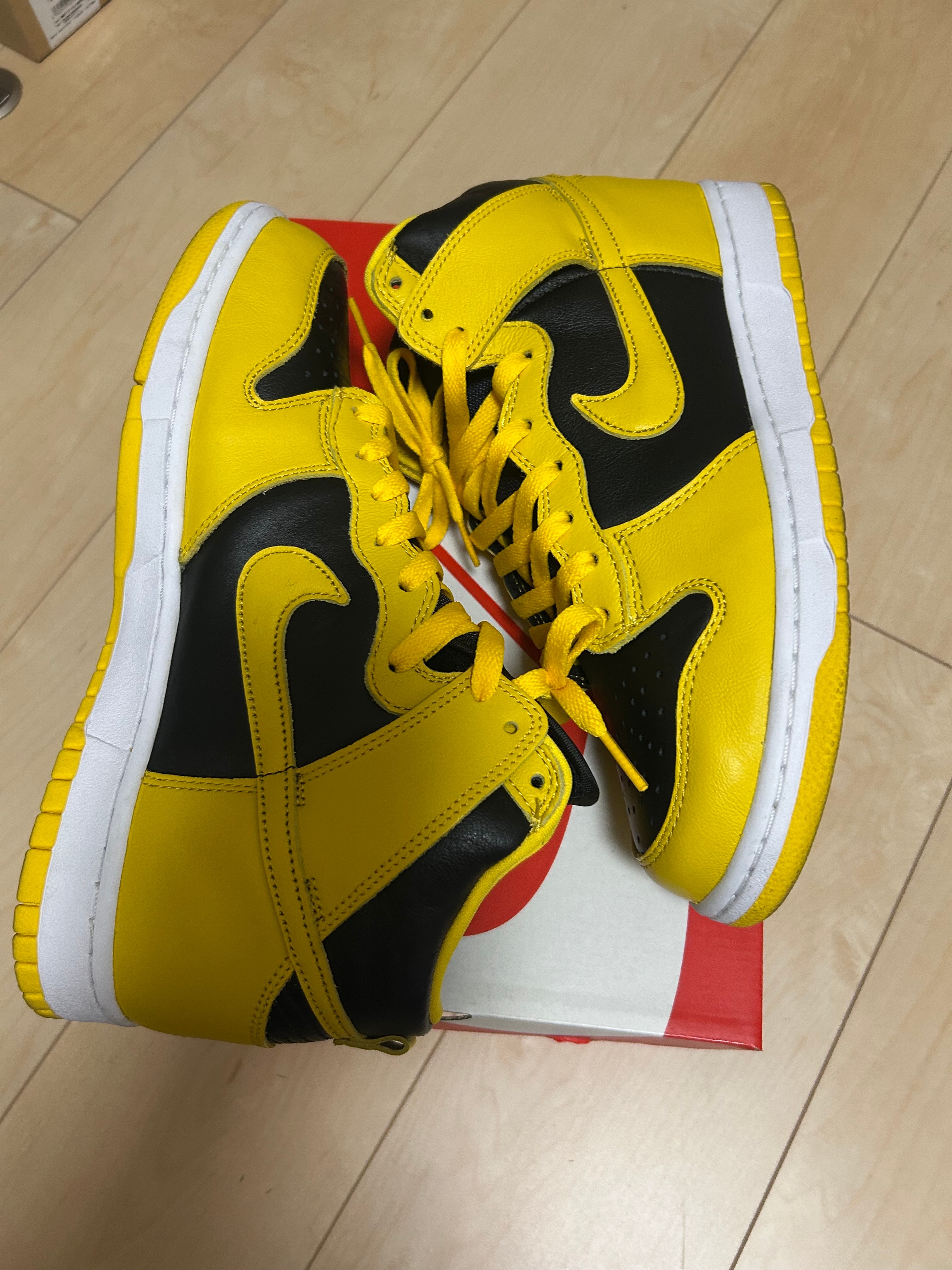 Nike Dunk High 