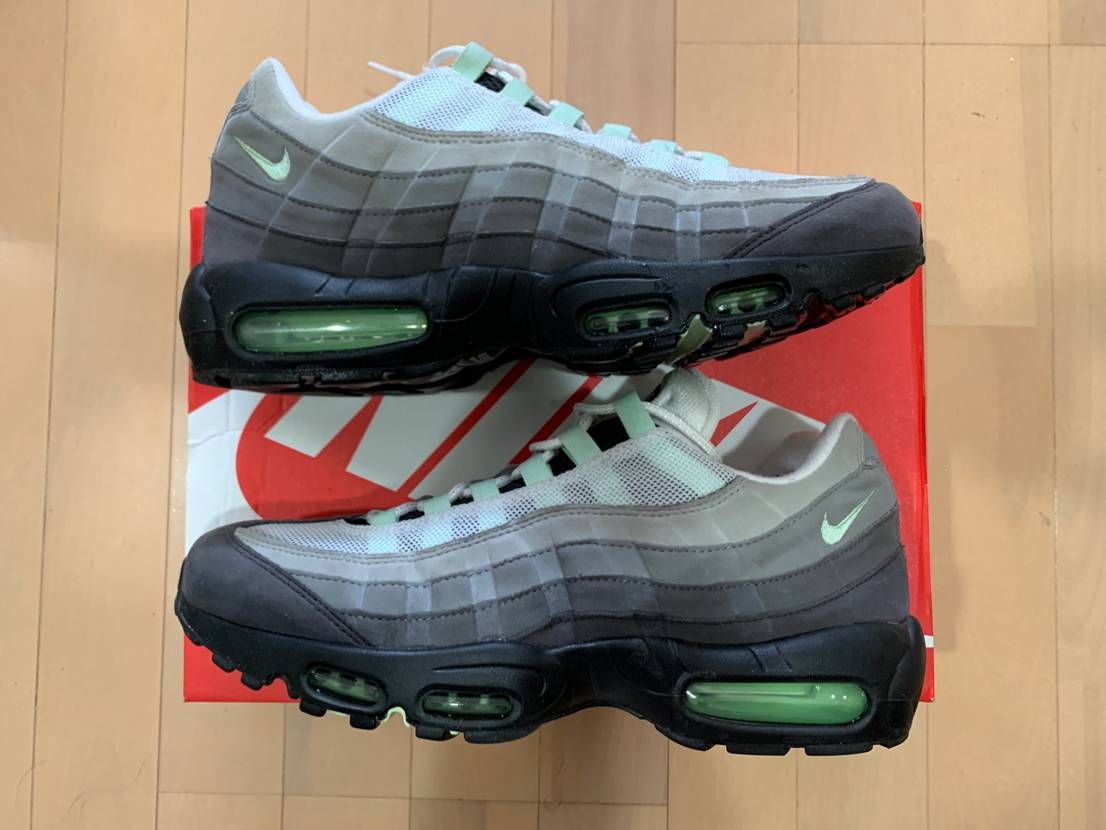 Nike Air Max 95 "Fresh Mint"