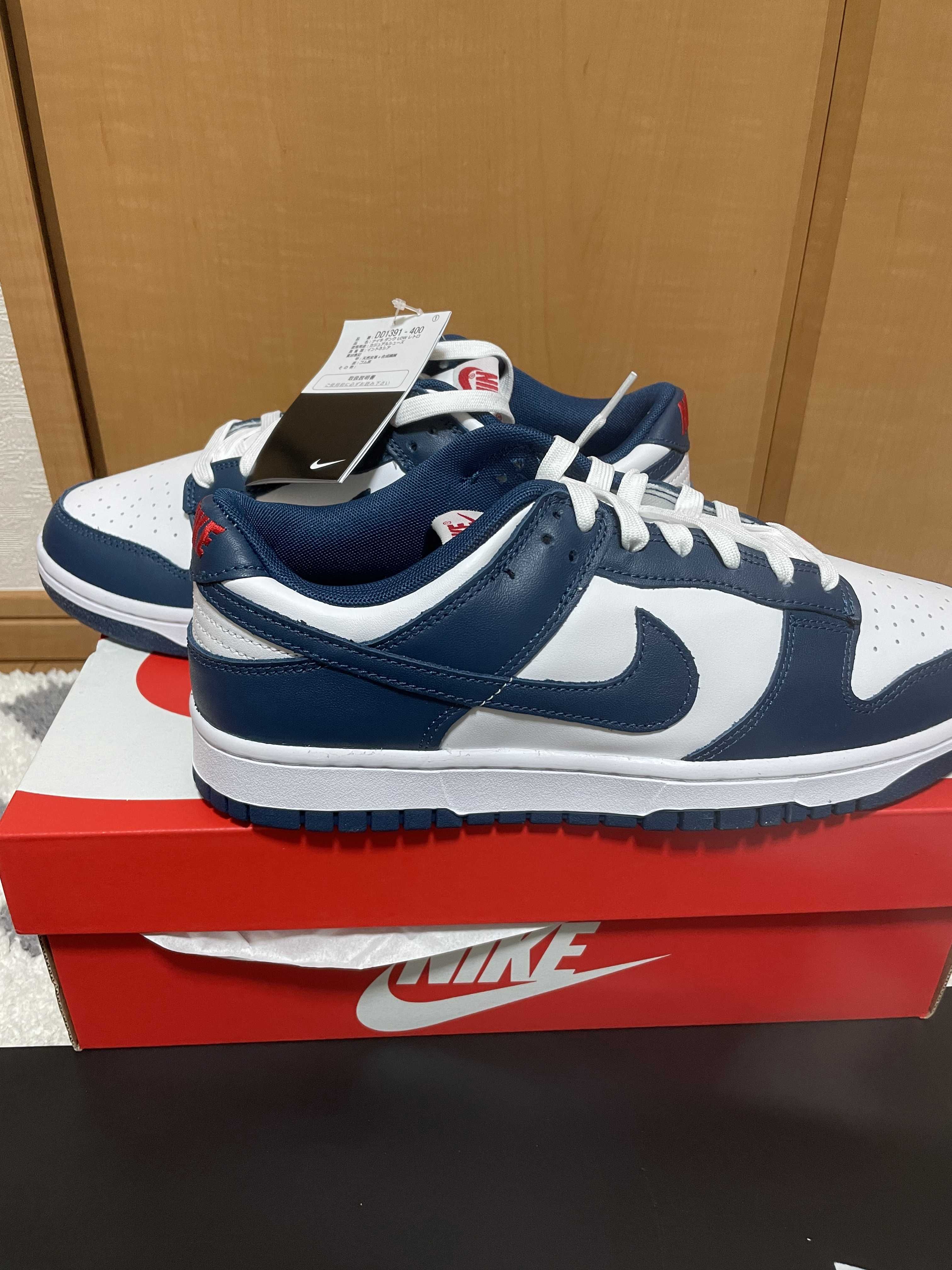 Nike Dunk Low "Valerian Blue"