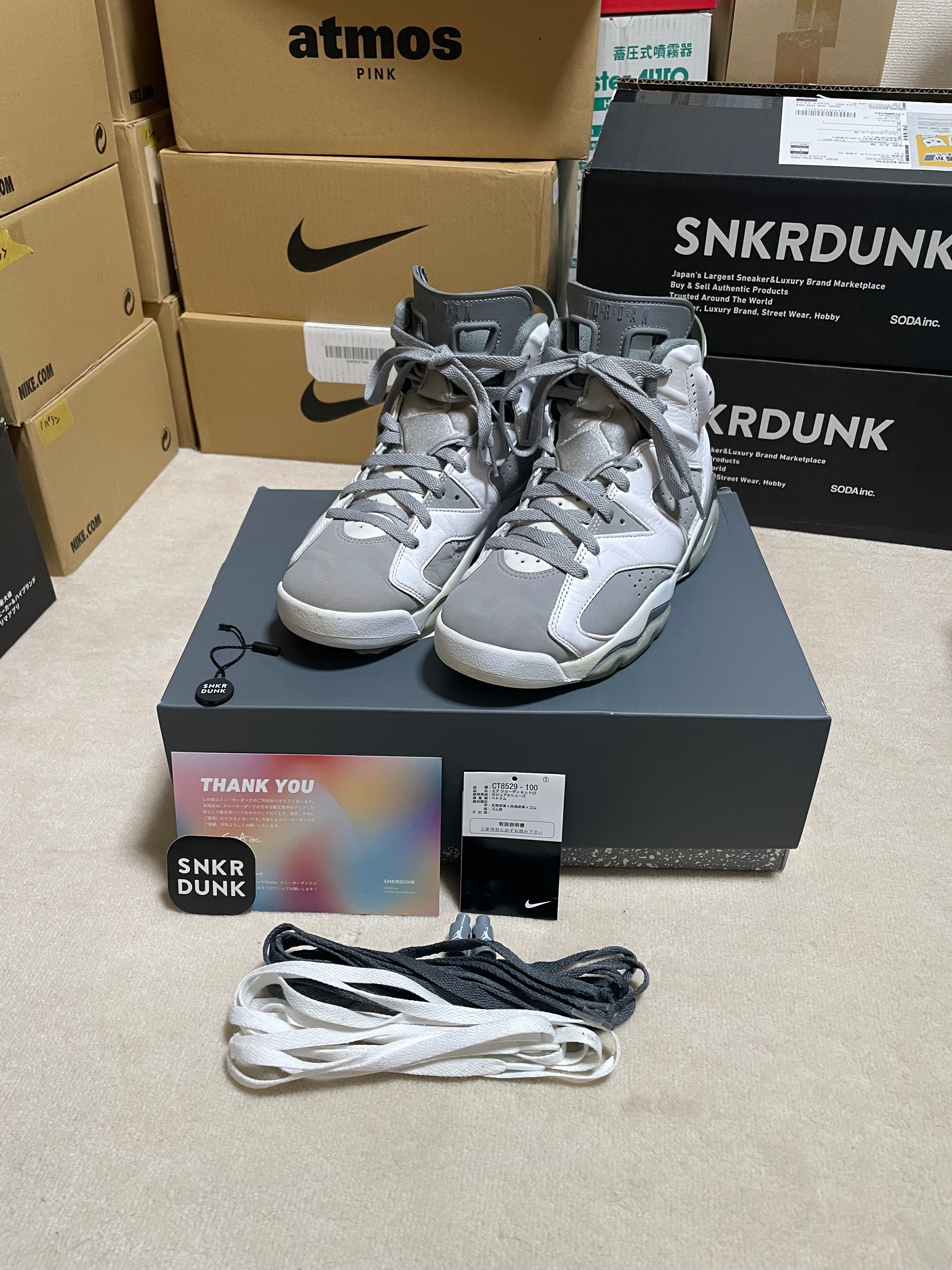 Nike  Air Jordan 6 "Cool Grey"