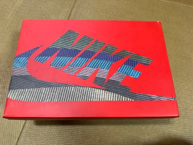 Sean Wotherspoon × Nike Air Max 1/97 SW "Collector's Dream"