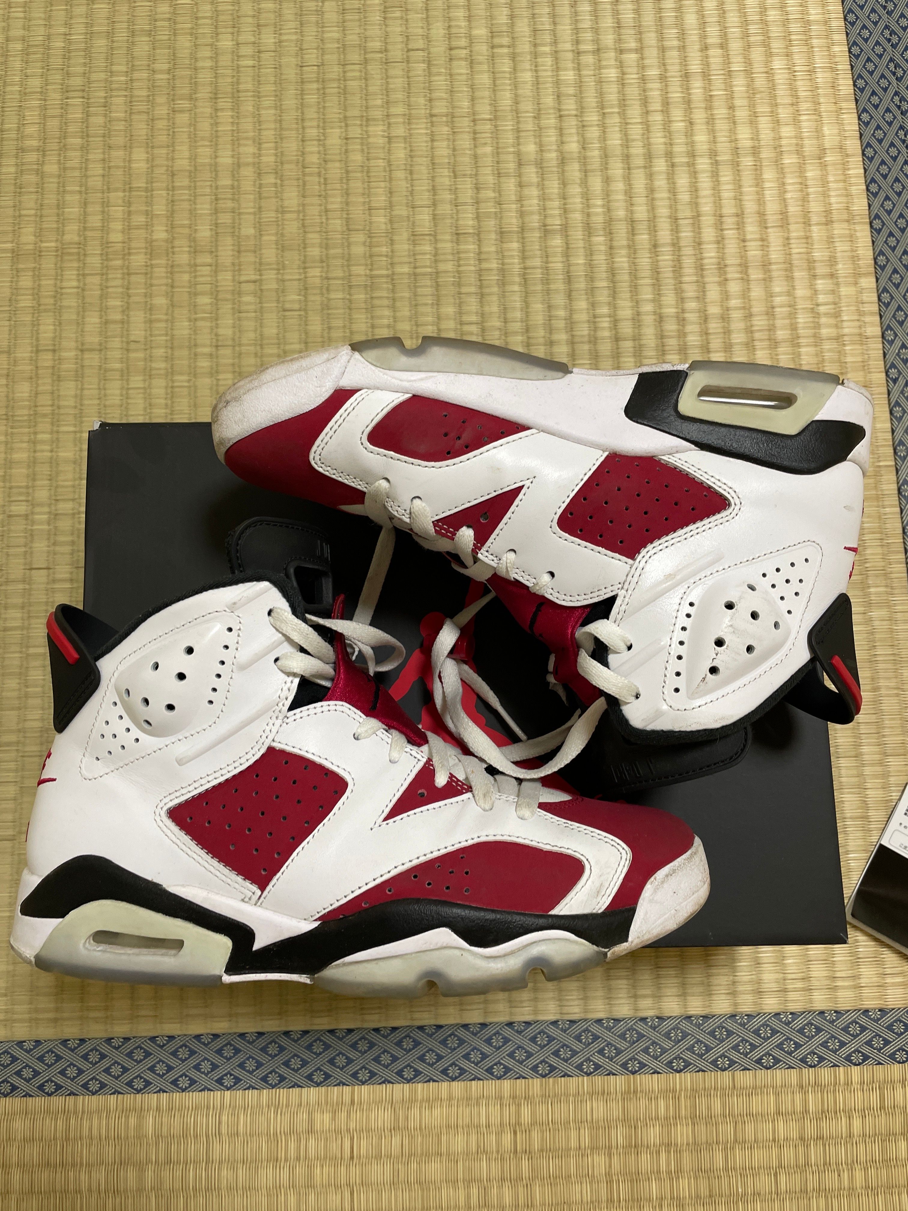 Nike Air Jordan 6 "Carmine" (2021)
