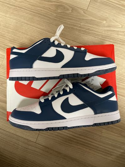 Nike Dunk Low "Valerian Blue"