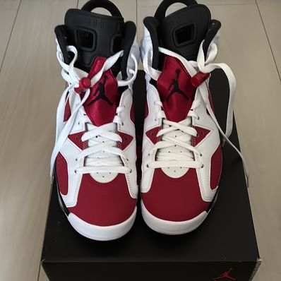Nike Air Jordan 6 "Carmine" (2021)