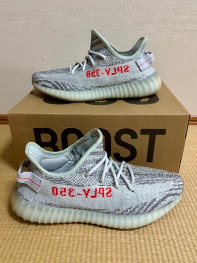 adidas YEEZY Boost 350 V2 "Blue Tint"