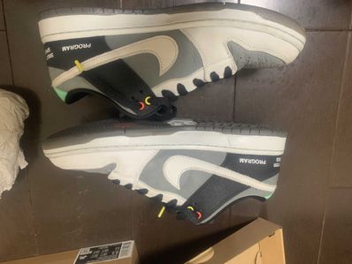 Nike SB Dunk Low Pro "VX1000 Camcorder"