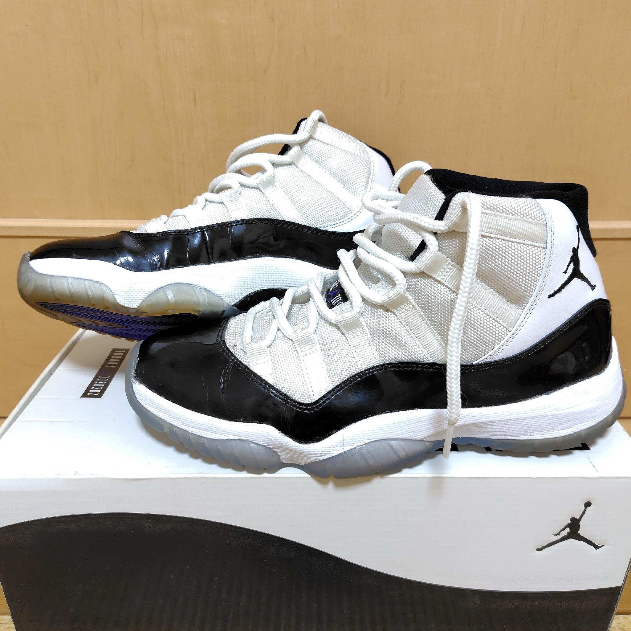Nike Air Jordan 11 Retro "Concord" (2011)