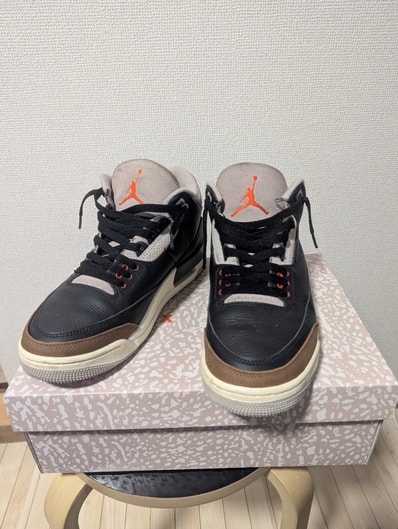 Nike Air Jordan 3 "Desert Elephant/Safari"