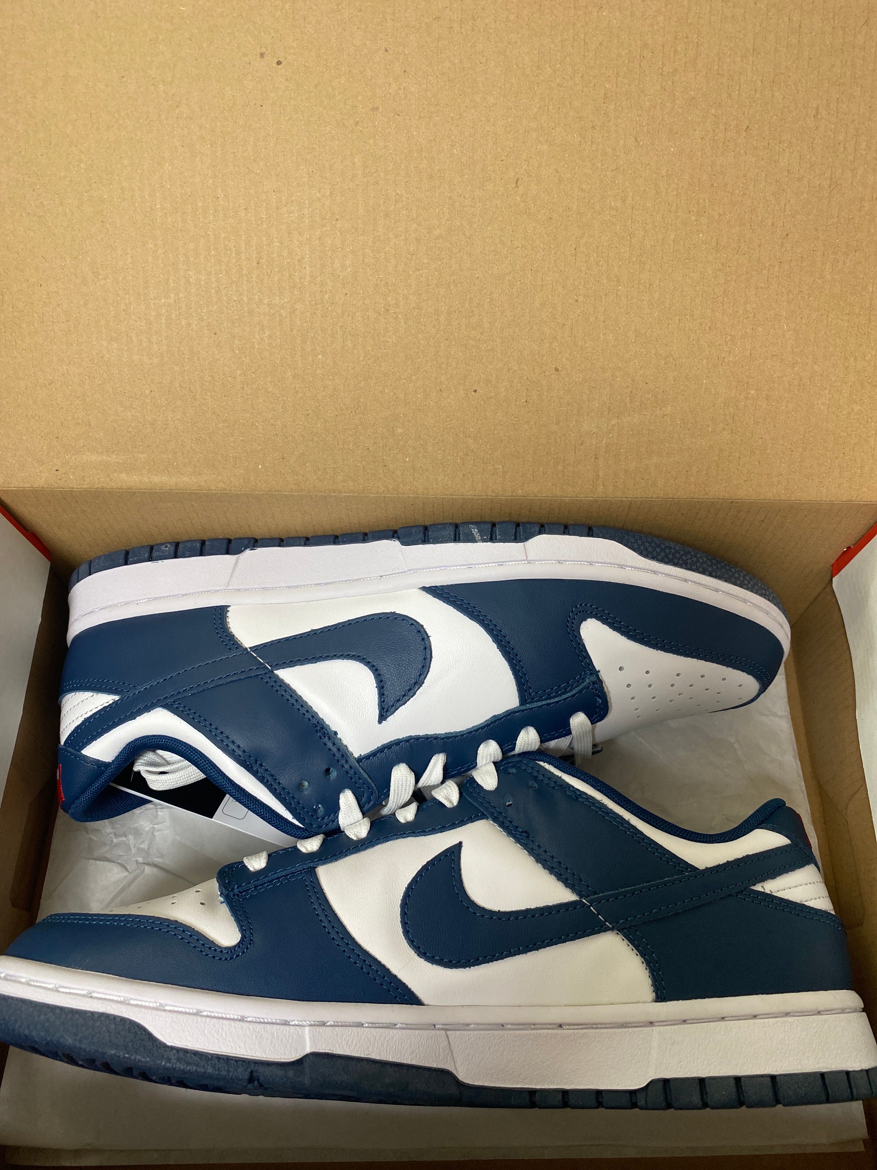 Nike Dunk Low "Valerian Blue"