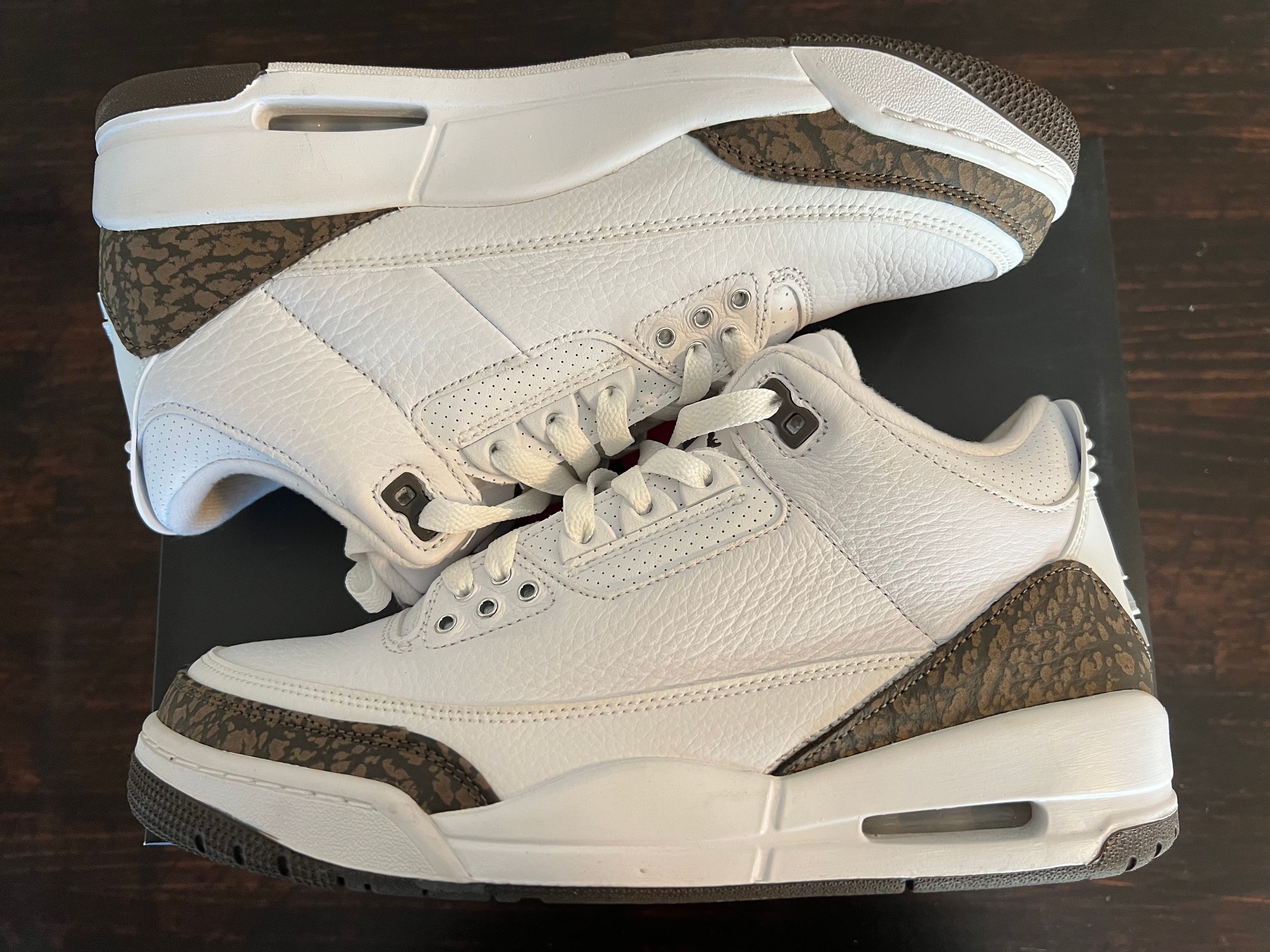 Nike Air Jordan 3 Retro "Mocha" (2018)