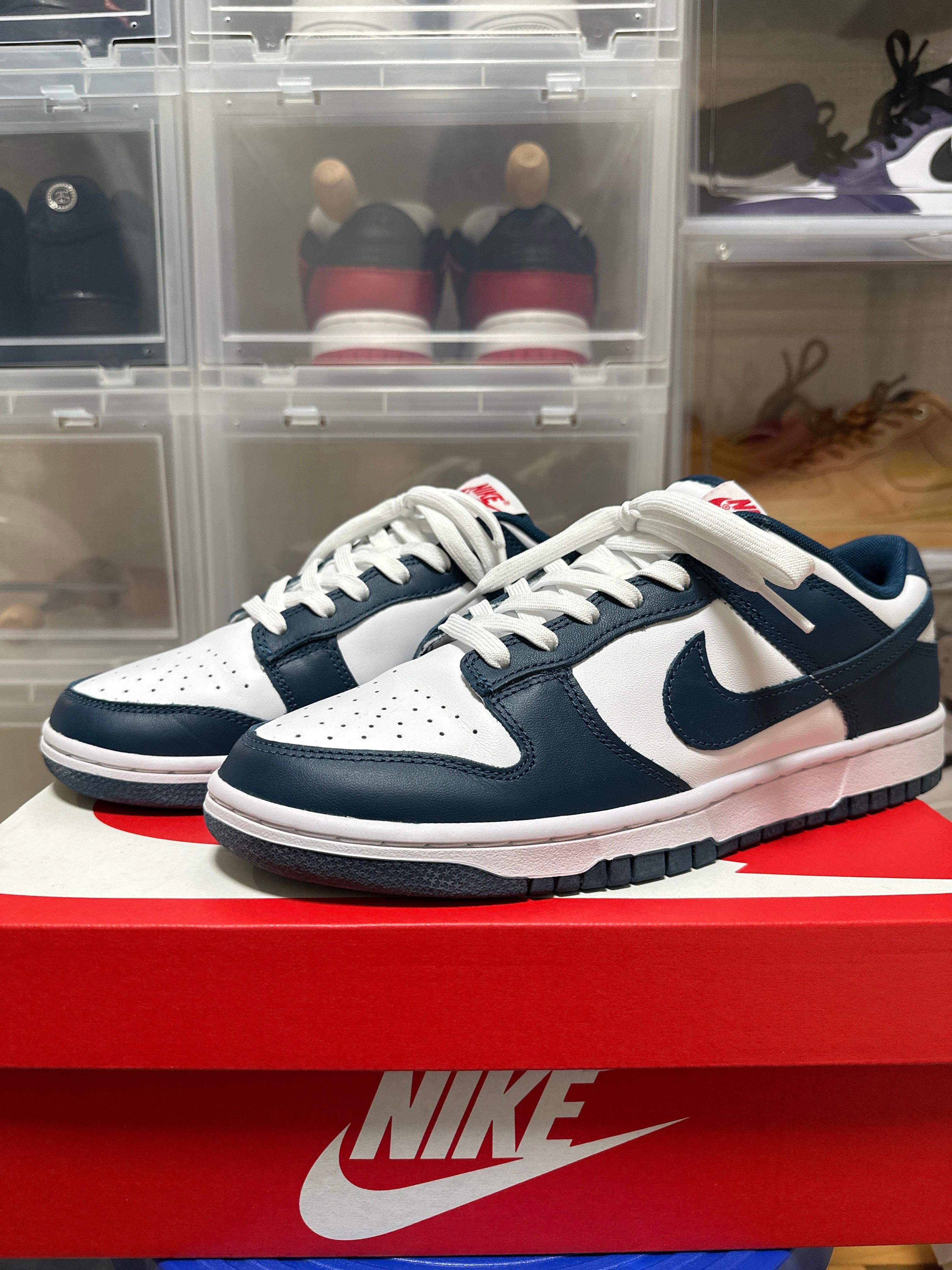 Nike Dunk Low "Valerian Blue"