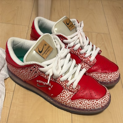 Stingwater × Nike SB Dunk Low "Magic Mushroom"