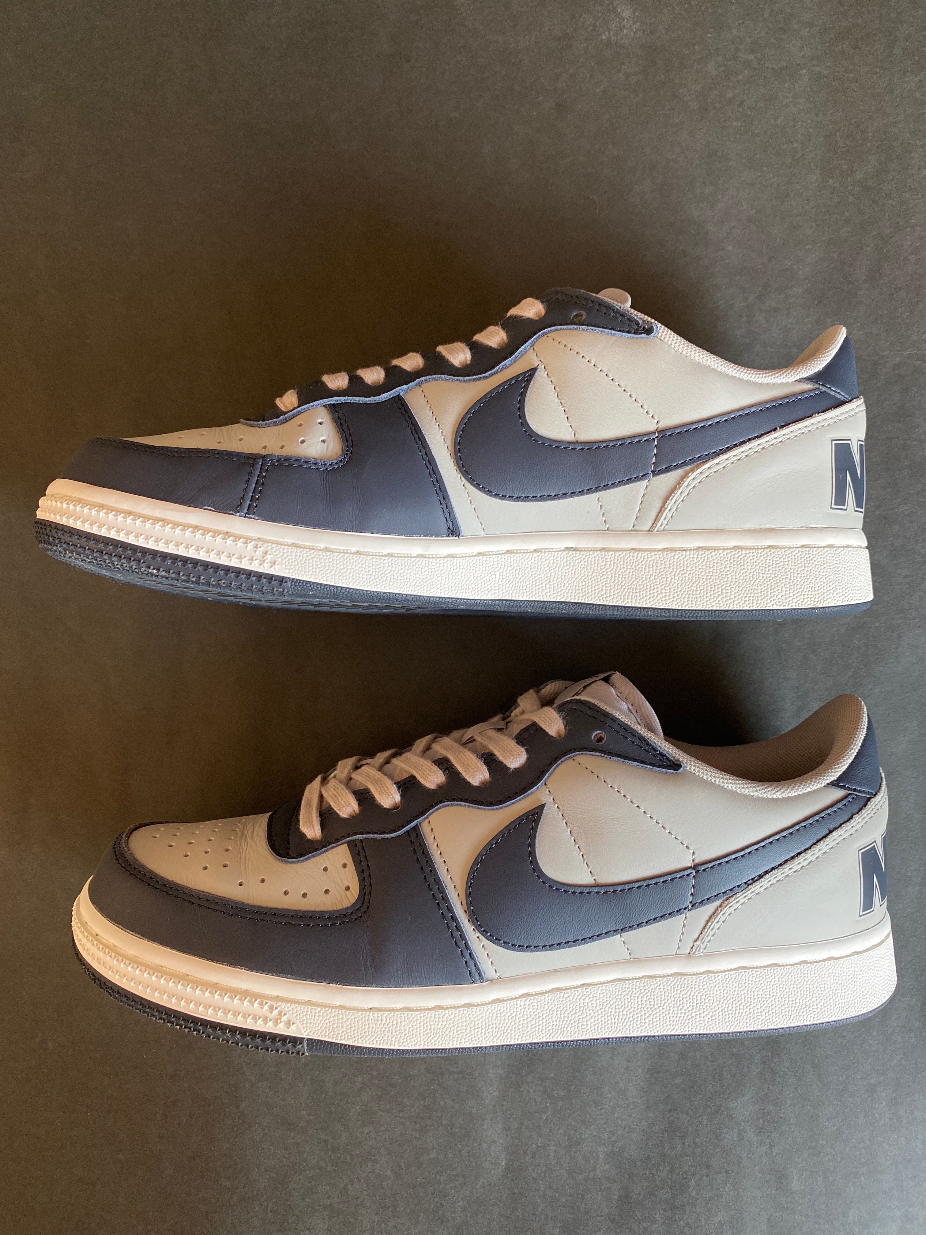 Nike Terminator Low "Dark Obsidian and Granite/Georgetown"(2023)