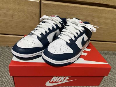 Nike Dunk Low "Valerian Blue"